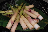 �В��̂Ԃ₫