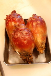 �В��̂Ԃ₫