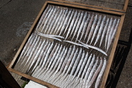 �В��̂Ԃ₫