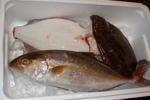 �В��̂Ԃ₫