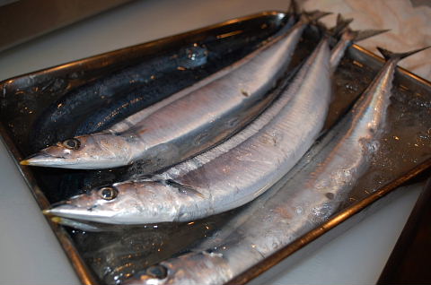 �В��̂Ԃ₫