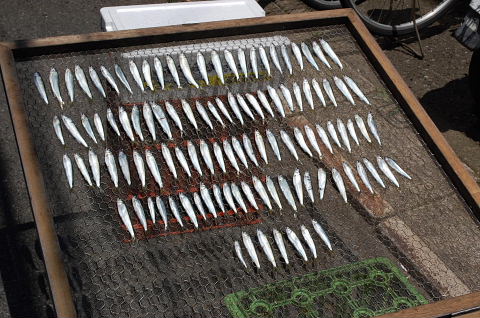 �В��̂Ԃ₫