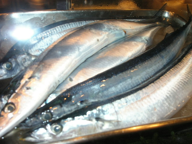 �В��̂Ԃ₫