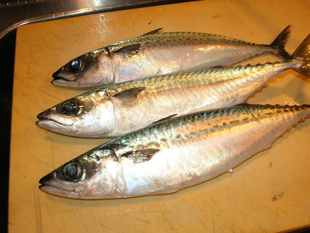 �В��̂Ԃ₫