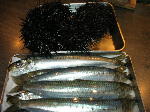 �В��̂Ԃ₫