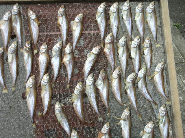 �В��̂Ԃ₫