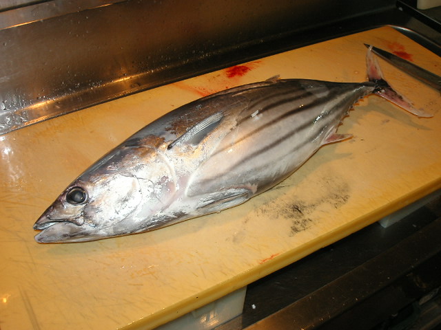 �В��̂Ԃ₫