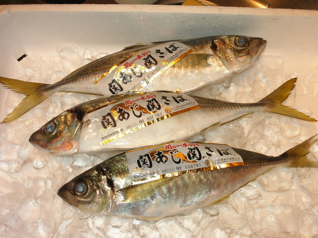 �В��̂Ԃ₫