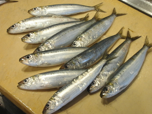 �В��̂Ԃ₫