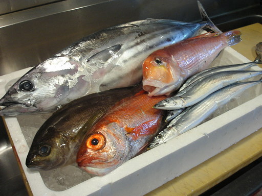 �В��̂Ԃ₫