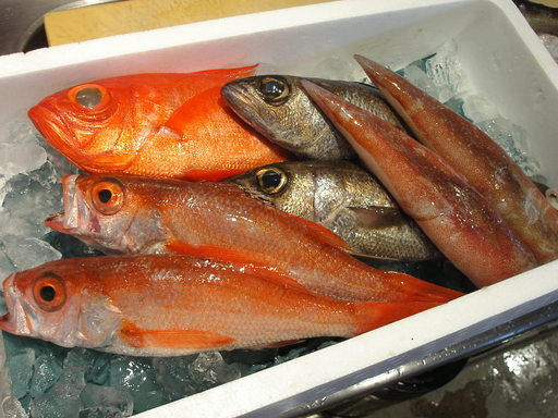 �В��̂Ԃ₫