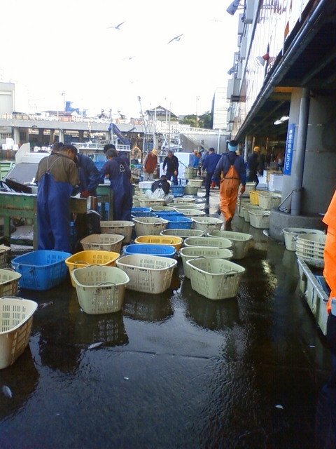 �В��̂Ԃ₫