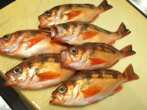 �В��̂Ԃ₫