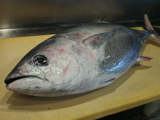 �В��̂Ԃ₫