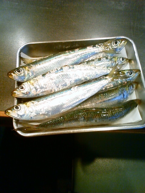 �В��̂Ԃ₫