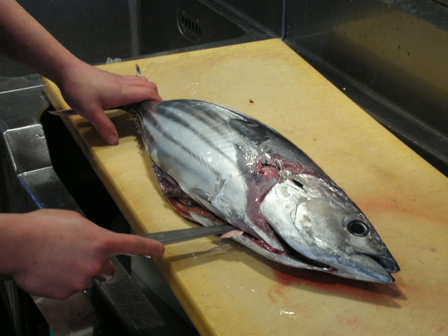 �В��̂Ԃ₫