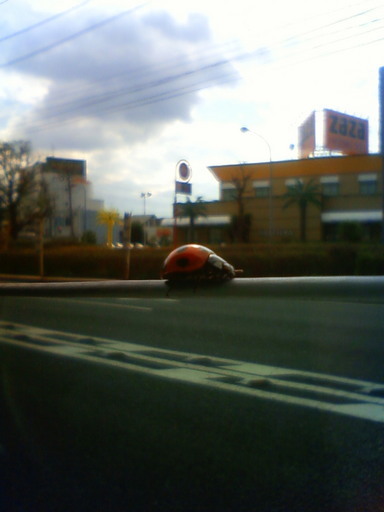 �В��̂Ԃ₫