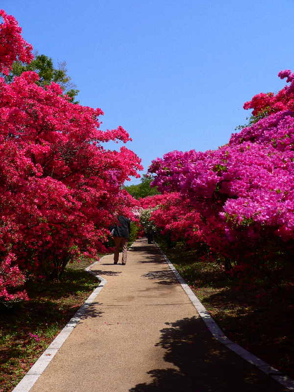 ���낢��t�H�g