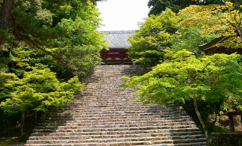 ���낢��t�H�g