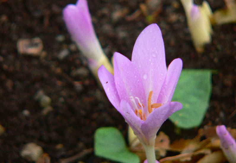 ���낢��t�H�g