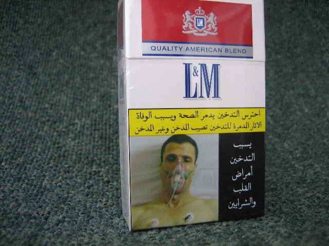 ���낢��t�H�g