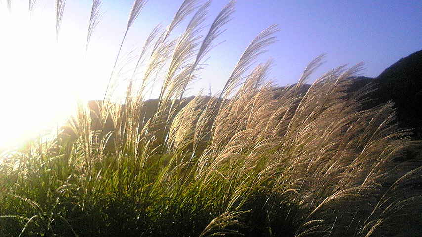 ���낢��t�H�g