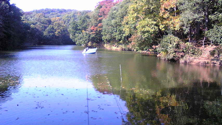 ���낢��t�H�g