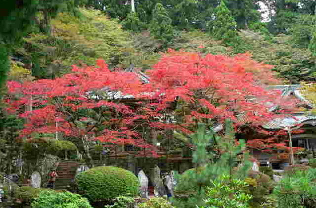 ���낢��t�H�g