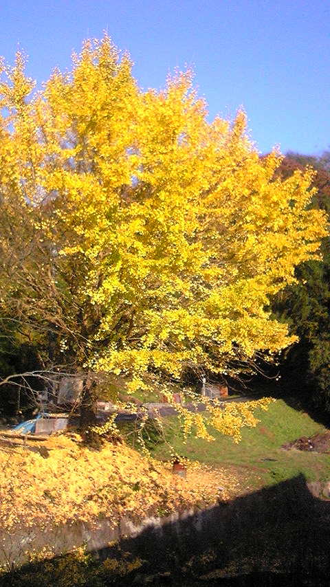 ���낢��t�H�g