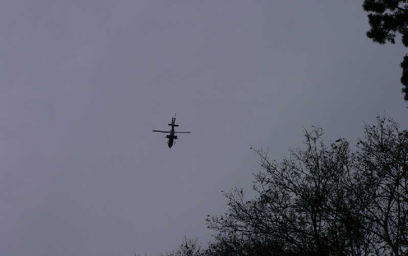 ���낢��t�H�g