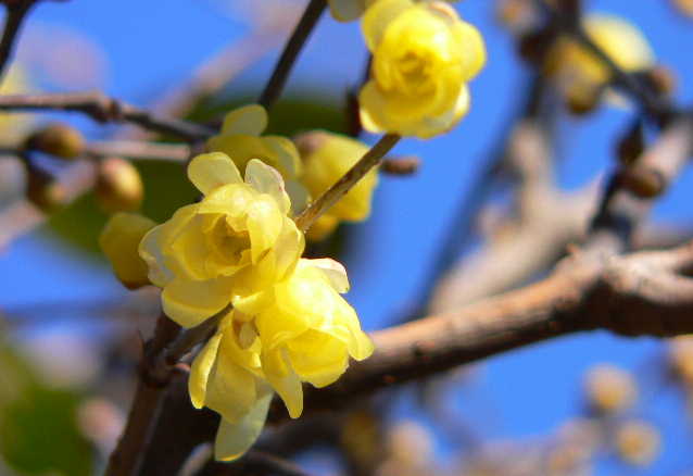 ���낢��t�H�g