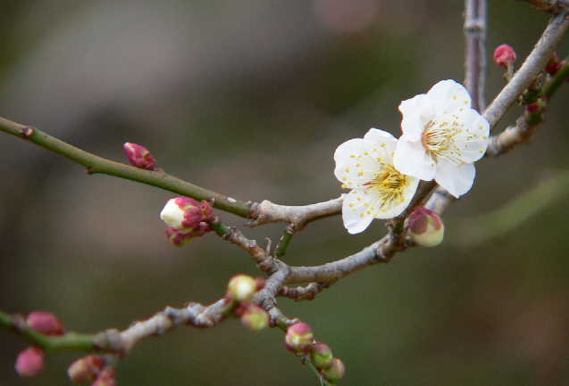 ���낢��t�H�g