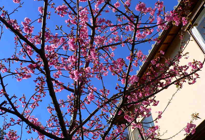 ���낢��t�H�g