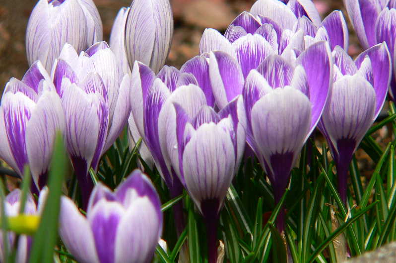 ���낢��t�H�g