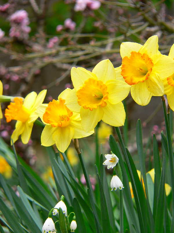 ���낢��t�H�g