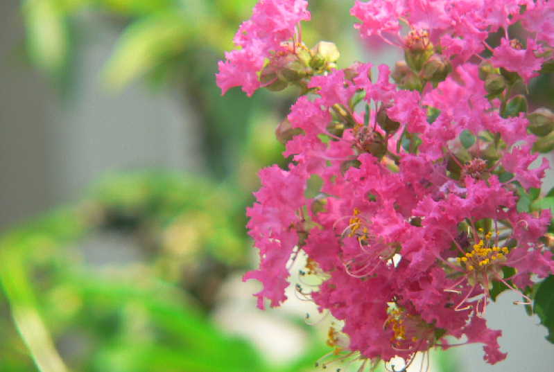 ���낢��t�H�g