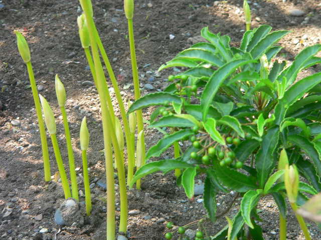 ���낢��t�H�g