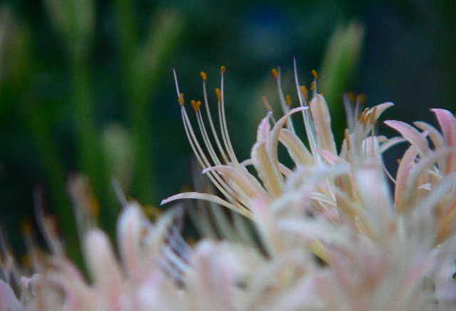 ���낢��t�H�g