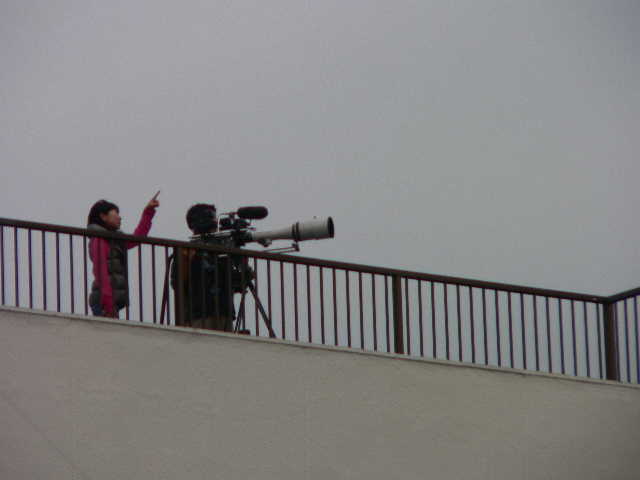 ���낢��t�H�g