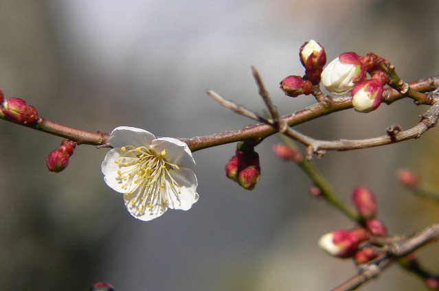 ���낢��t�H�g