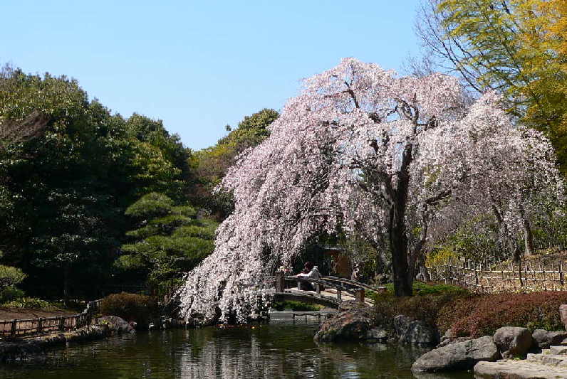 ���낢��t�H�g