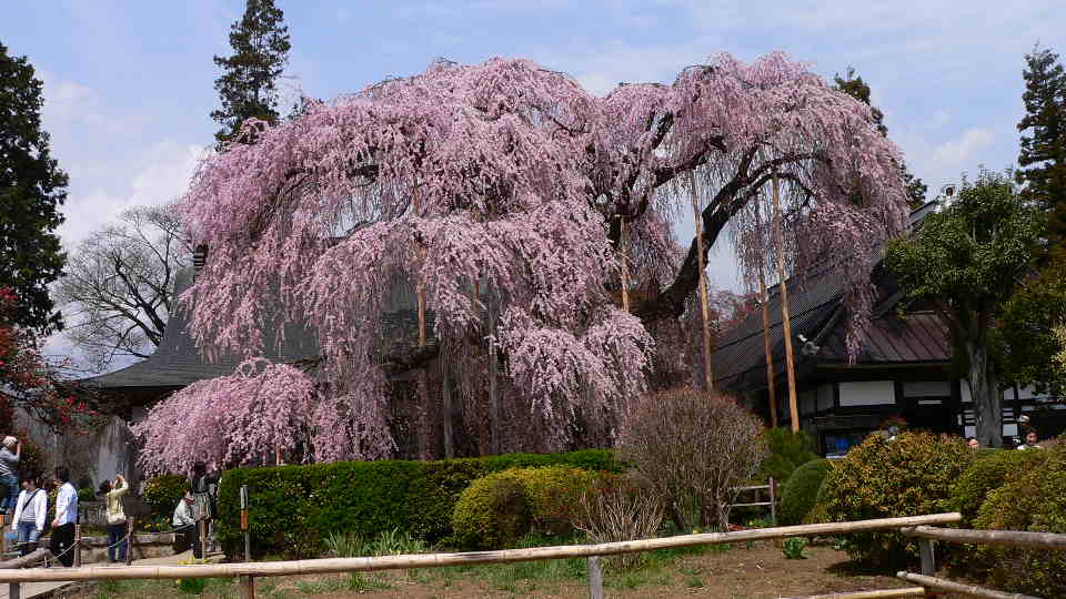 ���낢��t�H�g