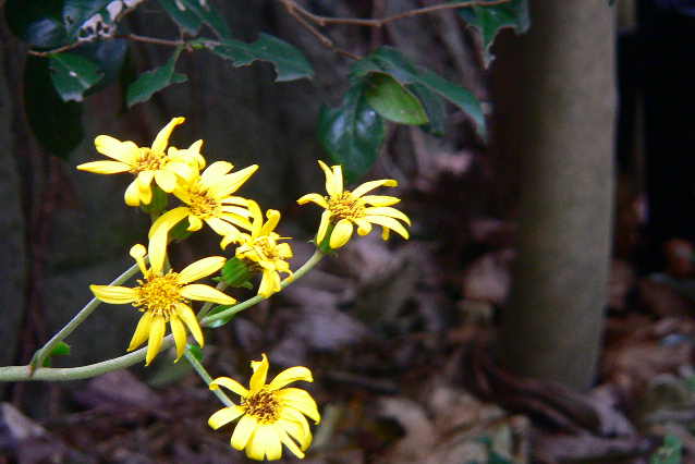 ���낢��t�H�g