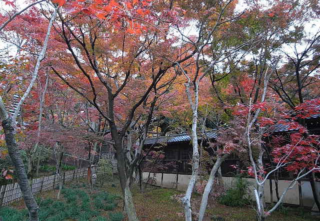 ���낢��t�H�g