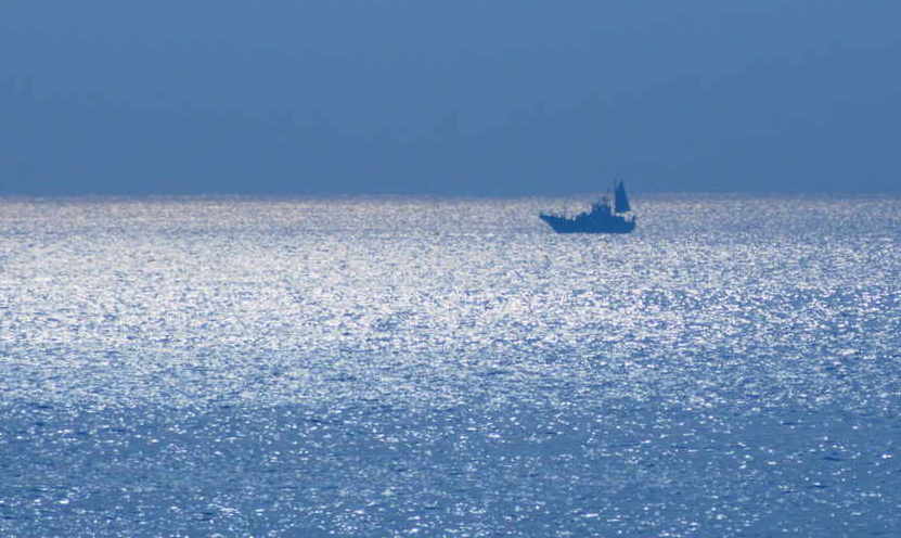 ���낢��t�H�g