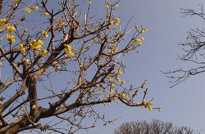 ���낢��t�H�g