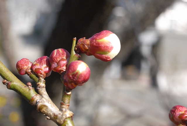 ���낢��t�H�g