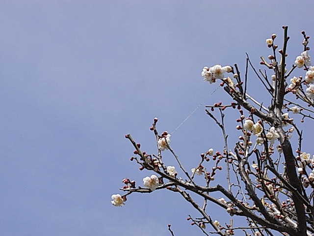 ���낢��t�H�g