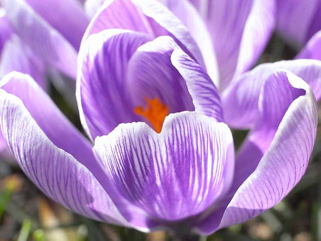 ���낢��t�H�g