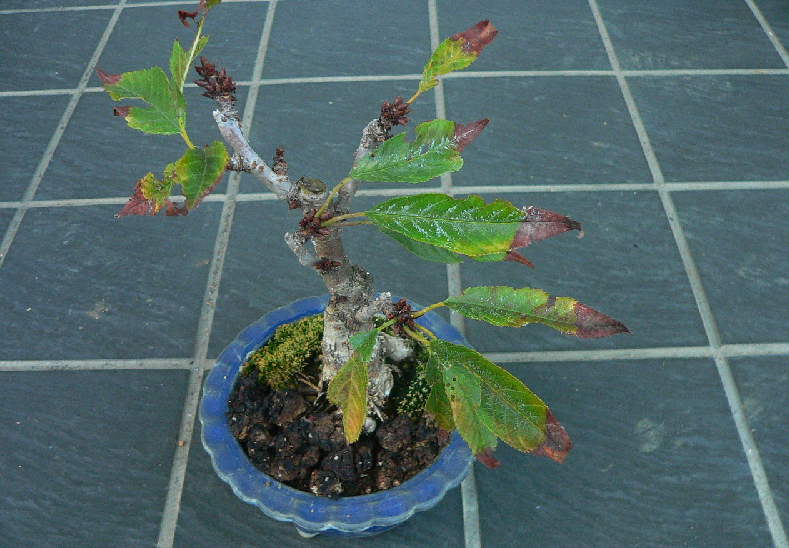 ���낢��t�H�g